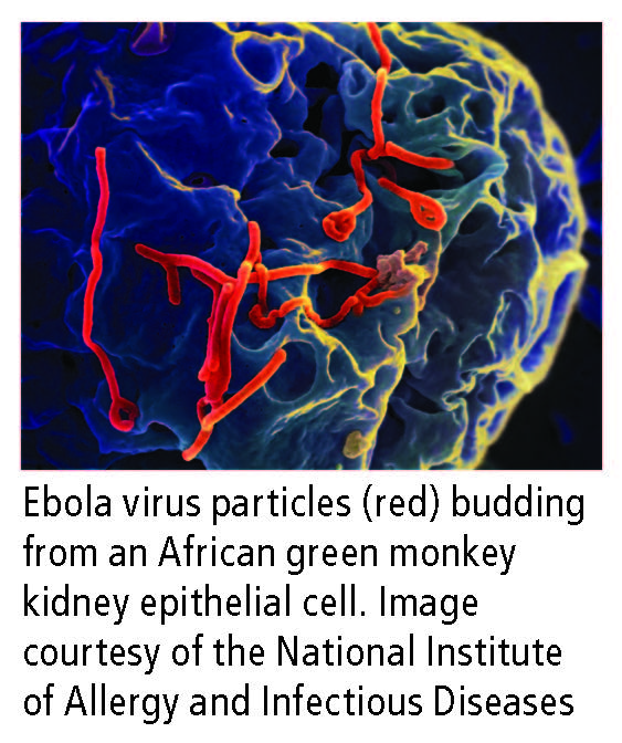 Ebola-01