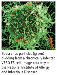 Ebola-02