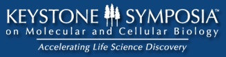 keystone logo