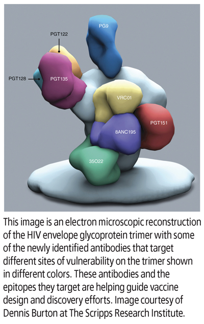 HIV-env-with-description